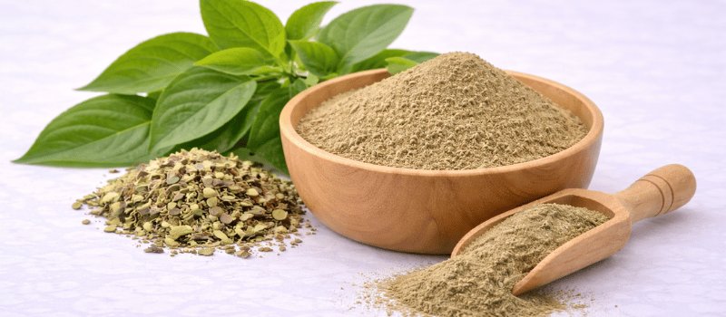 Gymnema Sylvestre Leaf